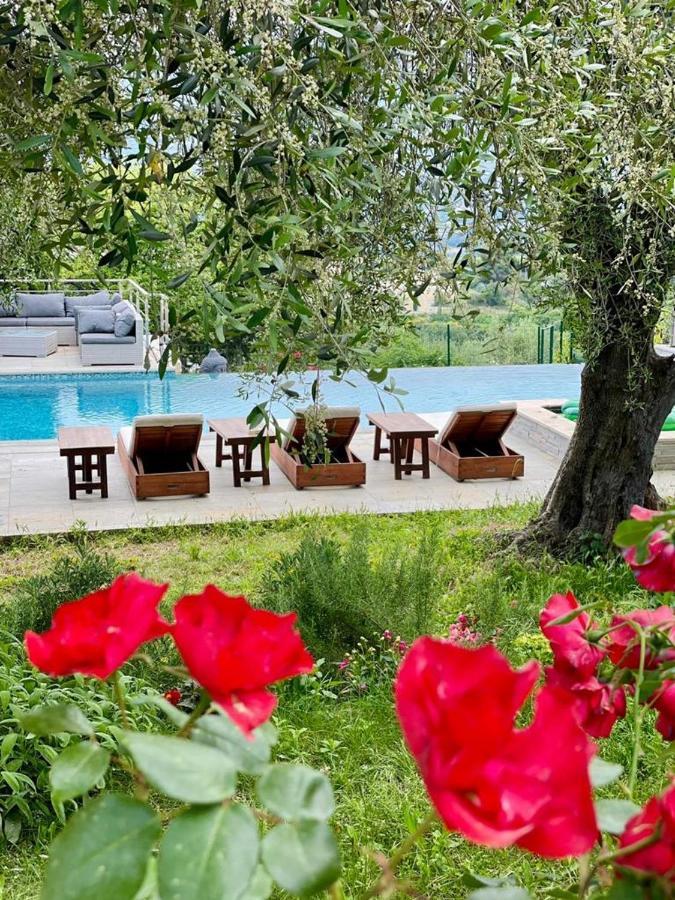 Bed & Breakfast Escondida *